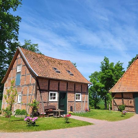 Altes Backhaus Bauernhof Vogel Daire Rohrsen Dış mekan fotoğraf
